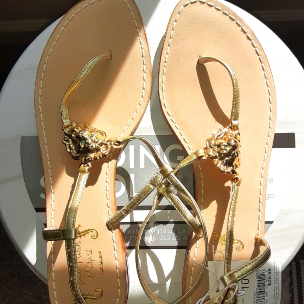 Gorgeous sandals